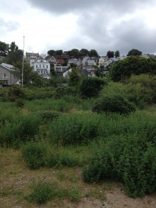 View from the beach.