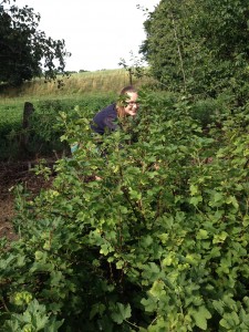 In my friend's grandparents' garden. Picking "Johanisbeeren."